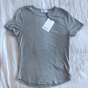 Aritzia Heather Gray Short Sleeve Tee